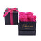 Hot Pink Roses