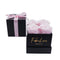 Light Pink Roses