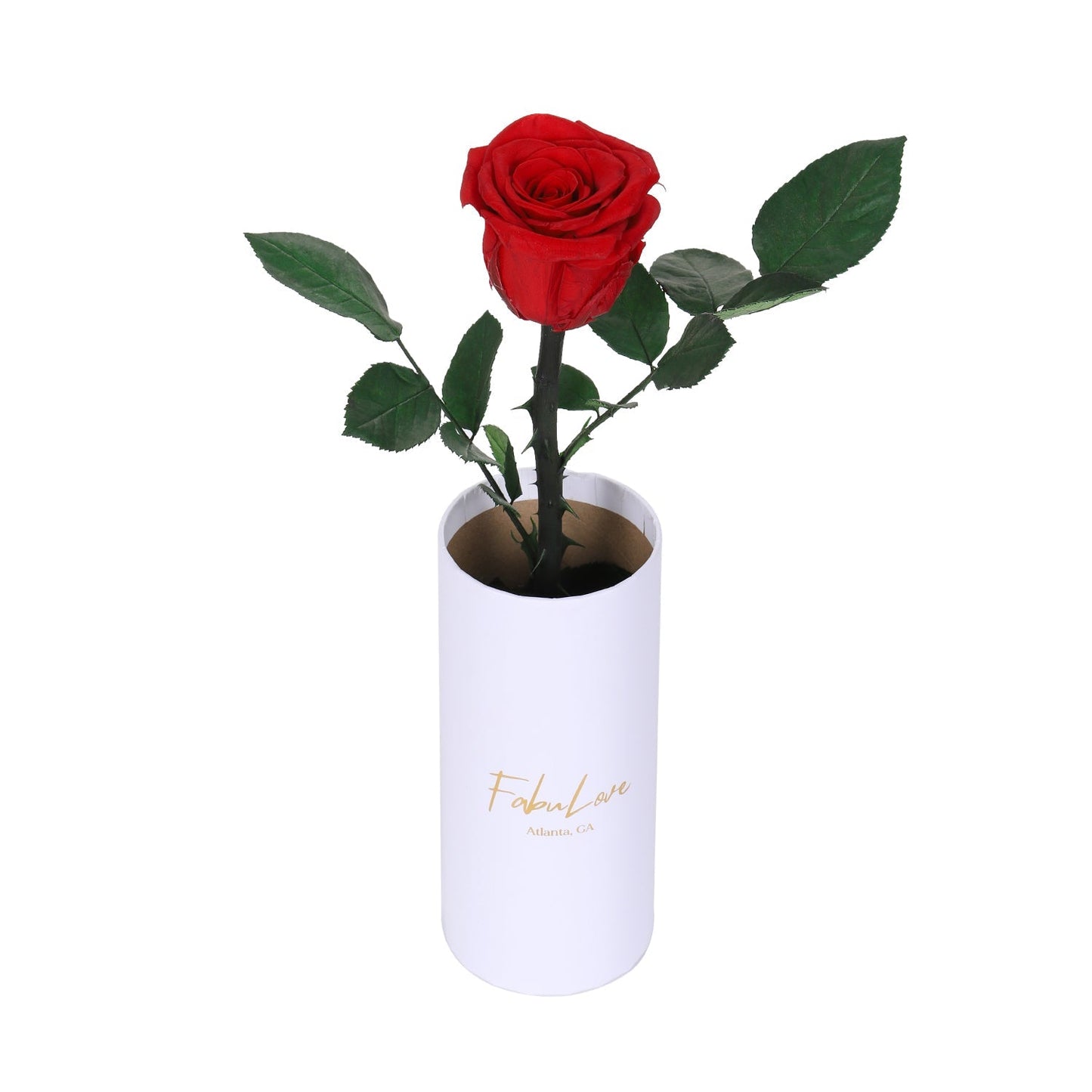 🎁 Classic Single Eternal Rose (100% off)